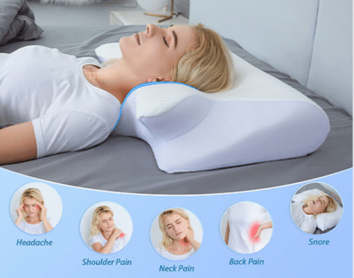 Ergo Z Pillow 2