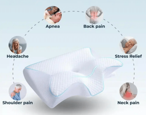 Ergo Z Pillow
