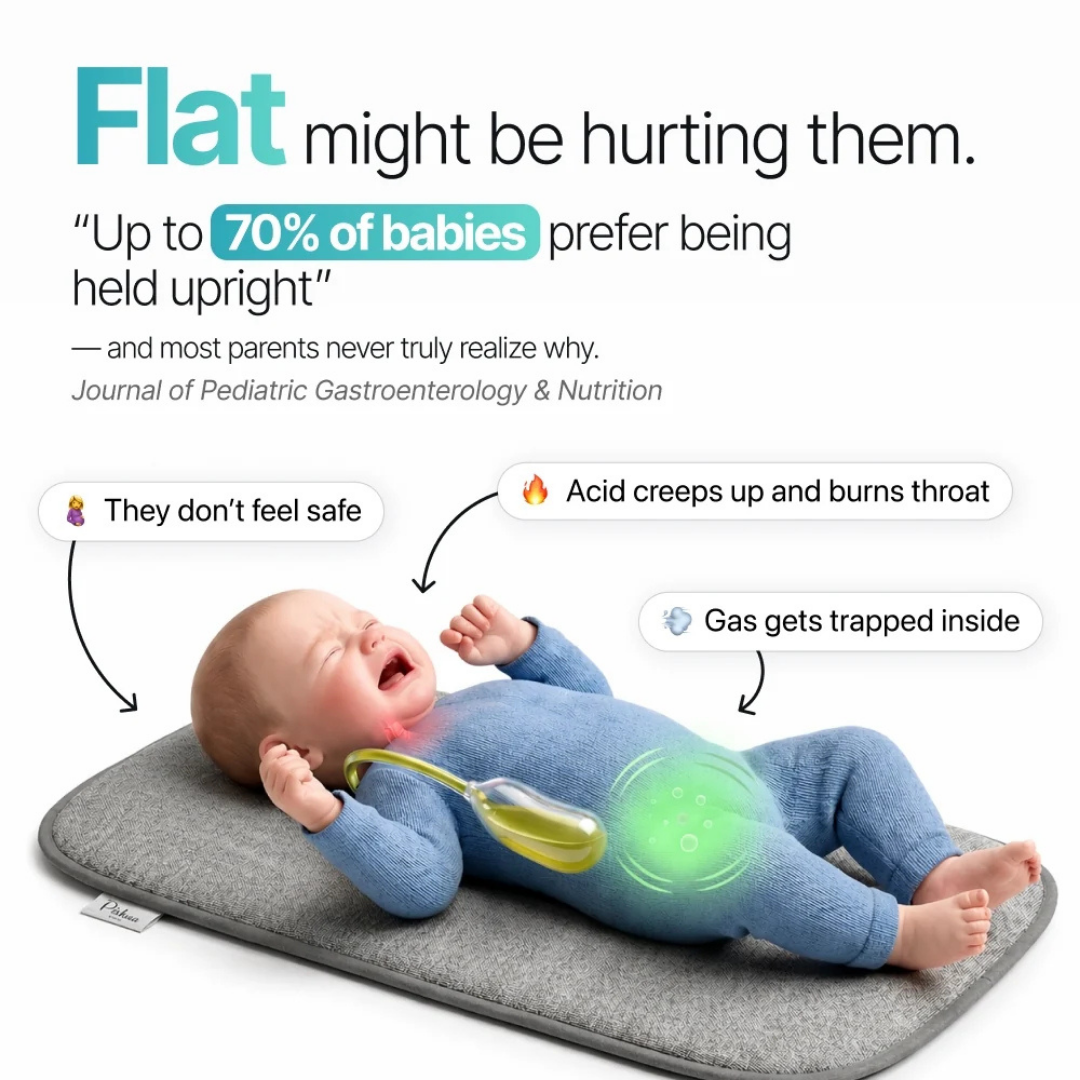 DreamCradle 3 DreamCradle 3.png
